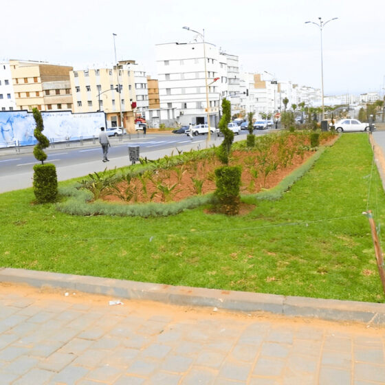 Travaux d’aménagement paysager et équipement des espaces verts d’accompagnement des boulevards et carrefours de la ville de Casablanca-min (1)
